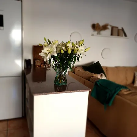 Appartement Casa De Evita *